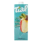 Néctar Sabor Caju Tial 1 L Cx