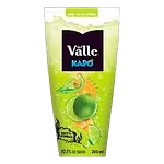 Suco Kapo 200ml Sabores Frutas Citricas