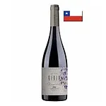 Vh Chi Kidia 750ml Syrah Tto Sc .