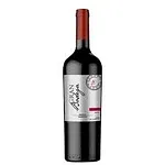 Vh Arg Gran Bodega 750ml Tto