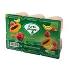 Iogurte Porto Alegre 540g Salada Frutas