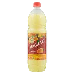 Suco Concentrado Caju Maguary Garrafa 1l