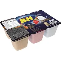 Bebida Láctea BH Band. c/6 480g