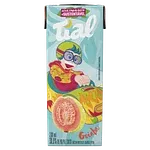 Néctar Goiaba e Pera Tial Caixa 200ml