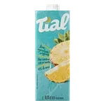 Néctar Sabor Abacaxi Tial 1l Cx
