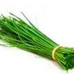 Cebolinha Und