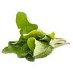 Mostarda