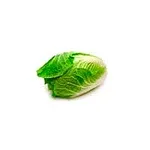 Acelga Fresca Und